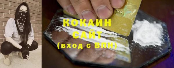 PSILOCYBIN Богданович