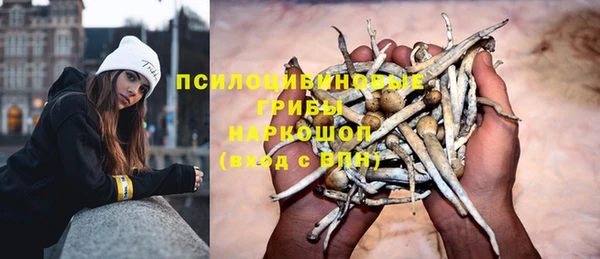 PSILOCYBIN Богданович