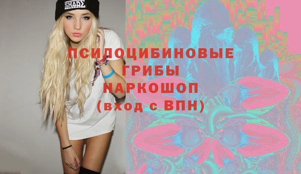первитин Богородицк