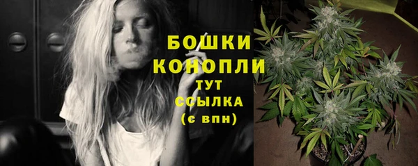 первитин Богородицк